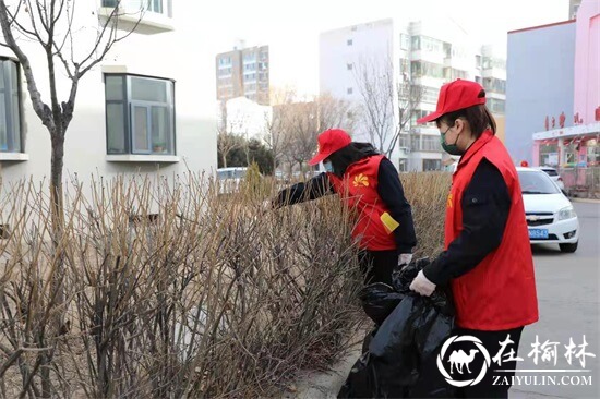 沙河路街道开源社区开展“学雷锋，我行动”环境整治活动
