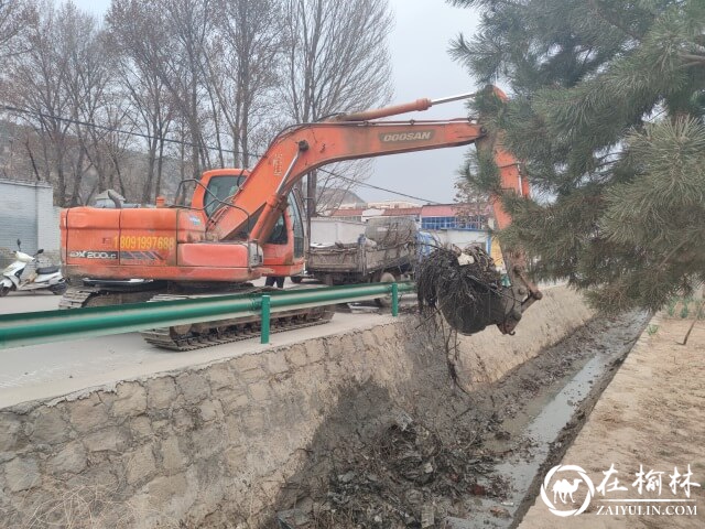 米脂：人勤春来早 兴修水利忙