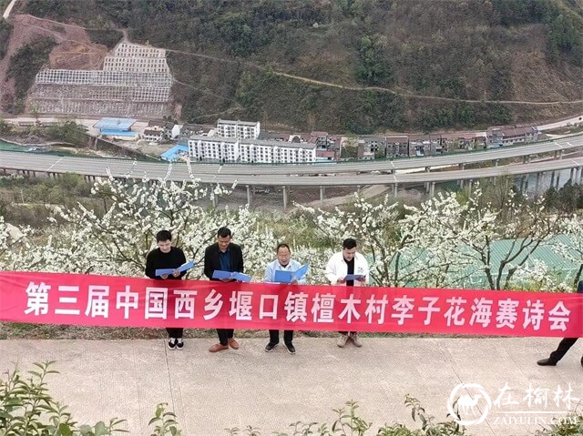 第三届中国西乡堰口镇檀木村李子花海赛诗会成功举办