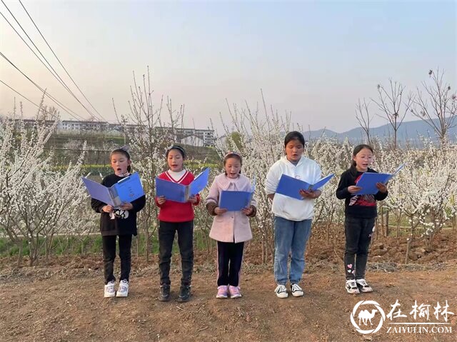 第三届中国西乡堰口镇檀木村李子花海赛诗会成功举办