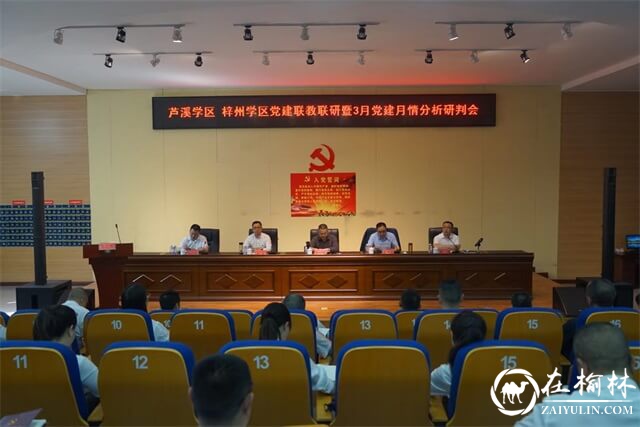 四川省三台县:党建+联盟发展,业务+区域共进