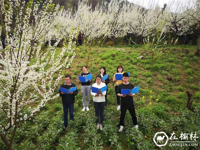 第三届中国西乡堰口镇檀木村李子花海赛诗会成功举办