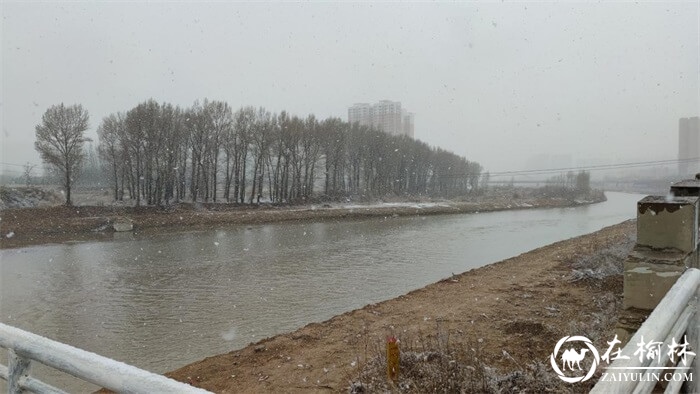 米脂县今日降瑞雪，北国风光无限好！