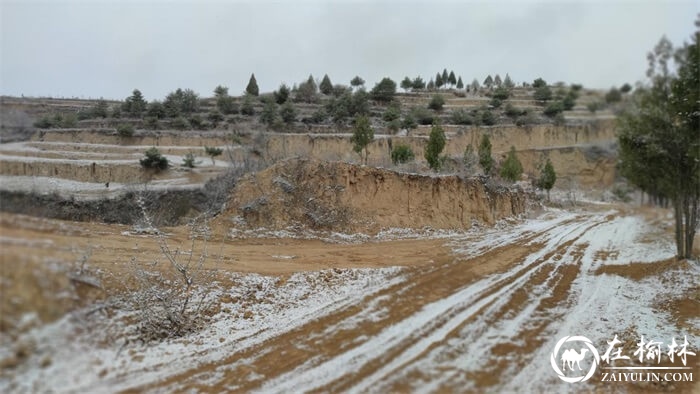 米脂县今日降瑞雪，北国风光无限好！