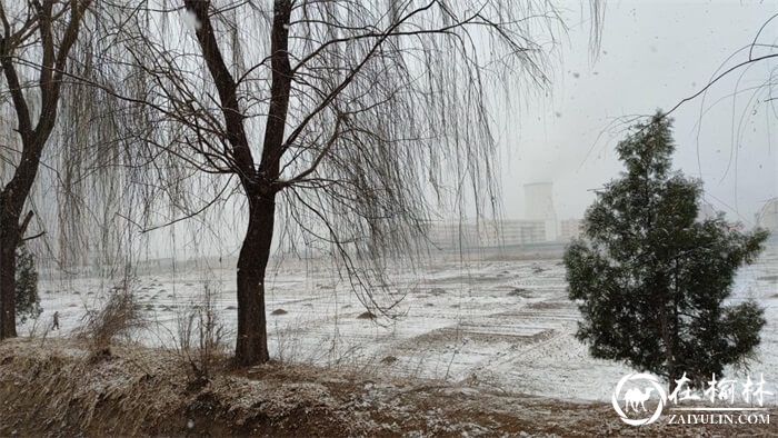 米脂县今日降瑞雪，北国风光无限好！