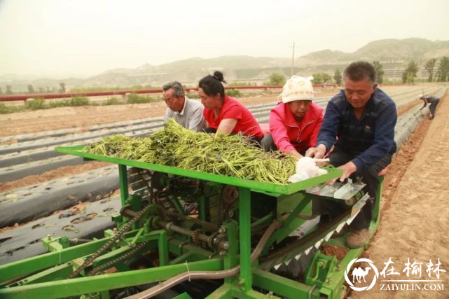 吴堡县：不断释放高质量发展的“红色动能”