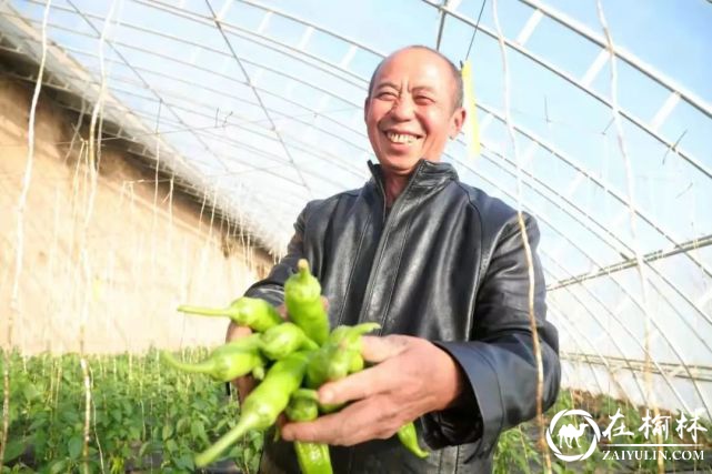 吴堡县：不断释放高质量发展的“红色动能”