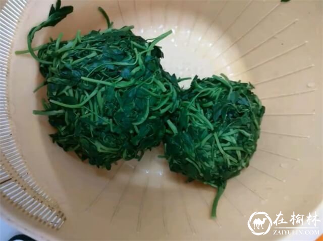 土豆燃苜蓿，陕北人开春来的第一顿美食