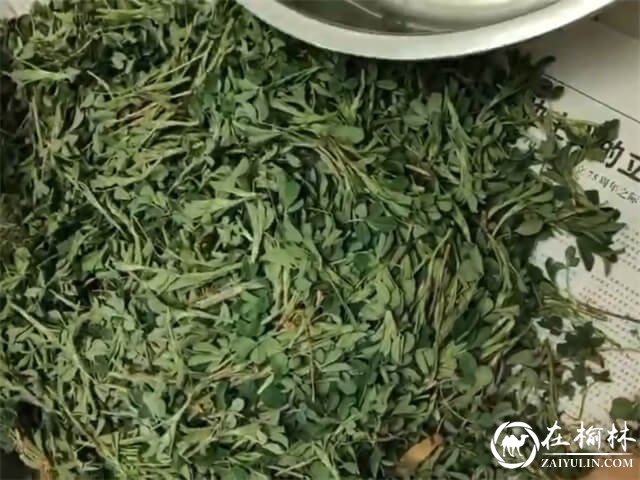 土豆燃苜蓿，陕北人开春来的第一顿美食