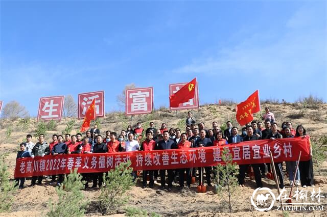 植此新绿，相约春天！府谷县能源局干部职工参加义务植树活动