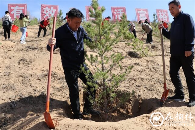 植此新绿，相约春天！府谷县能源局干部职工参加义务植树活动