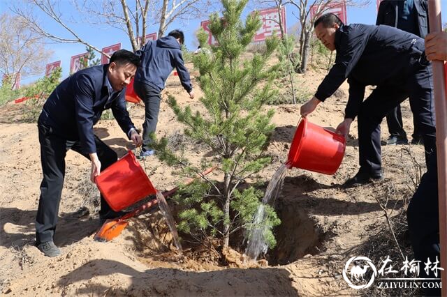 植此新绿，相约春天！府谷县能源局干部职工参加义务植树活动