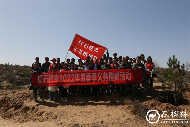 榆阳区红石桥乡：春风催新绿，植树正当时
