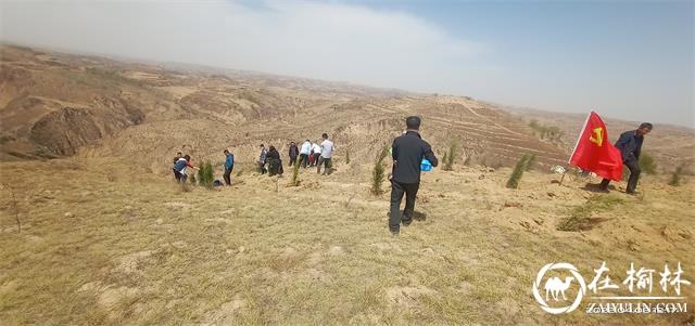 佳县：脚踏红色足迹，手栽绿色树苗