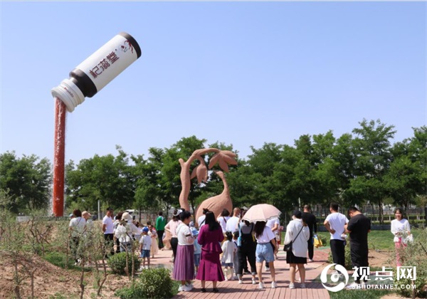 弘扬中宁枸杞文化｜华宝枸杞“童你一起·乐在杞粽”活动圆满举办