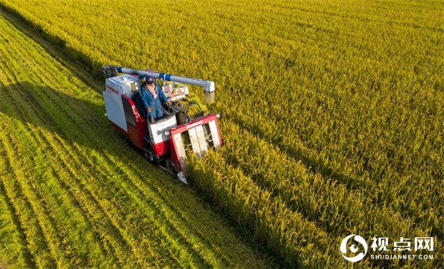 陕西西乡县堰口镇狠抓粮食生产不放松