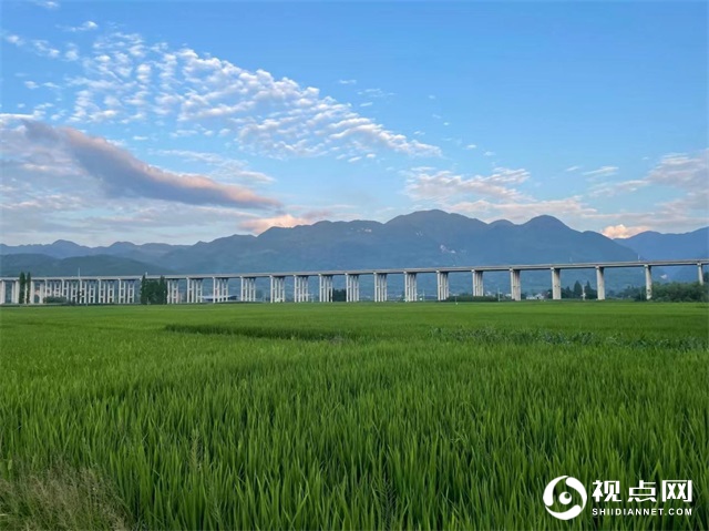 陕西西乡县堰口镇狠抓粮食生产不放松