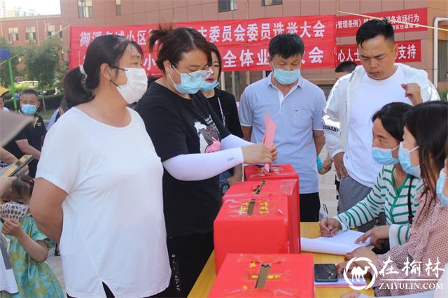 芹涧路社区御溪名城小区成立业主委员会，小区治理有了主心骨