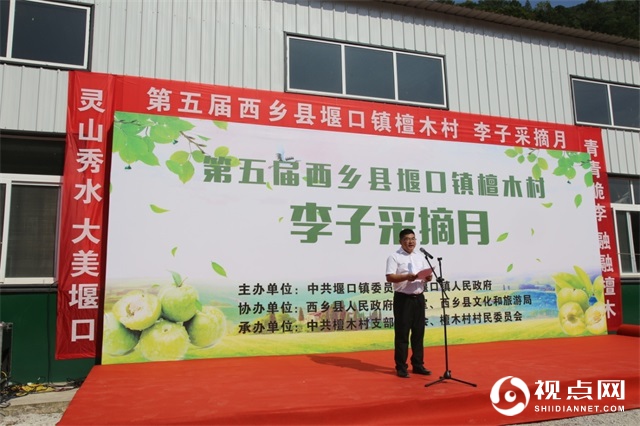 第五届中国西乡堰口镇檀木村李子采摘月启动仪式圆满举行