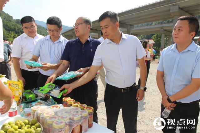 第五届中国西乡堰口镇檀木村李子采摘月启动仪式圆满举行