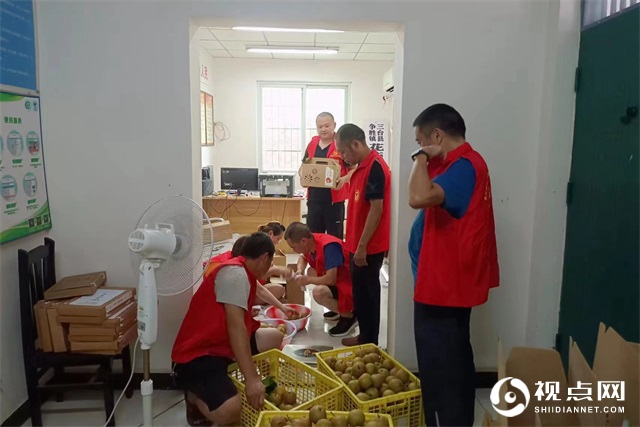 四川省三台县:“花庙雪梨”丰收振兴乡村产业