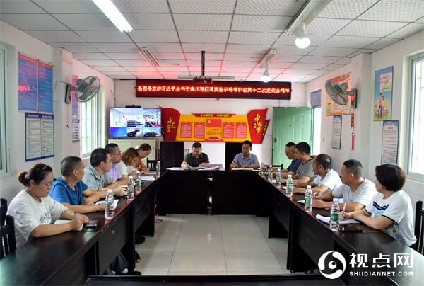 四川省三台县人大调研灵兴镇花庙村水旱防御并讲党课