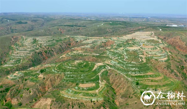 柠条塔矿业公司“三步走”蹚出绿色低碳发展新路子