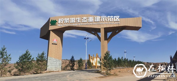 柠条塔矿业公司“三步走”蹚出绿色低碳发展新路子