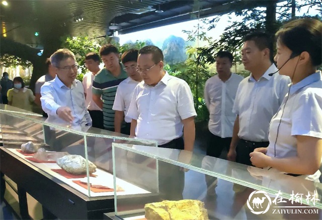 榆林市人民政府副市长杨扬一行到安康博物馆考察