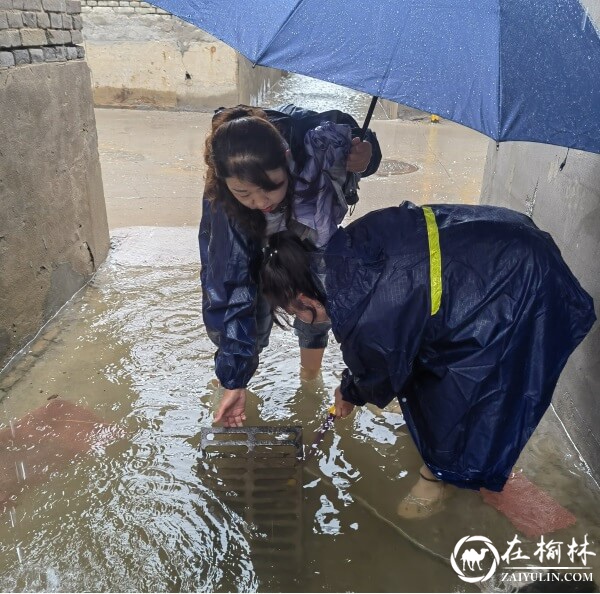 崇文办芹涧路社区：加强隐患排查 筑牢汛期安全防线