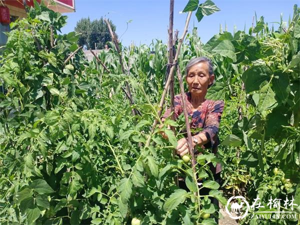 苏润梅：建国后首届三八红旗手获得者的感人事迹