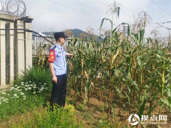 延安站派出所纵深推进“百日行动”：严排查 除隐患 建机制 保稳定