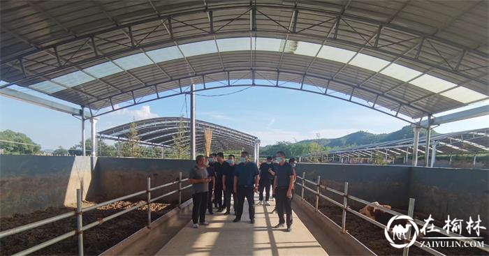 绥德县委副书记王剑飞到四十里铺镇马兴庄村实地调研督导巩固衔接、防汛救灾、疫情防控等工作