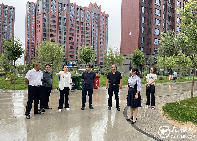 榆阳区统计局:“四大举措”全面推进创文工作