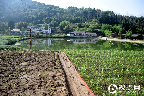四川省三台县人大常委会调度巩固脱贫奔康帮扶行动