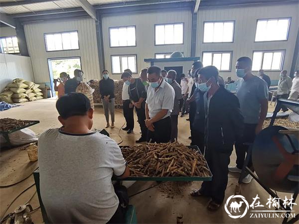 子洲县驼耳巷乡召开2022年产业发展大会