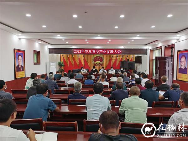 子洲县驼耳巷乡召开2022年产业发展大会
