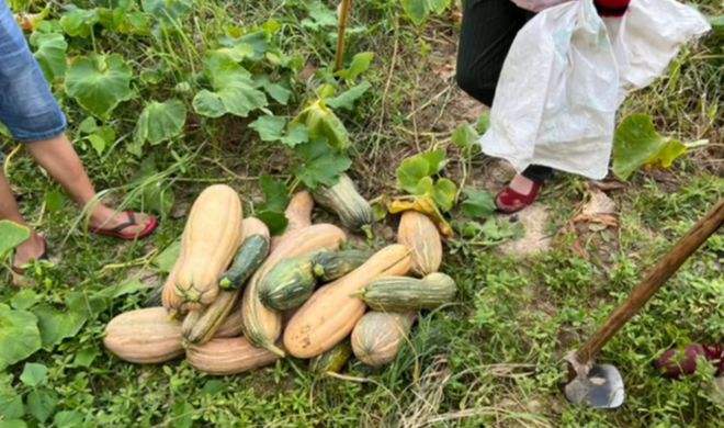 莫让“法不责老”成为中国特色