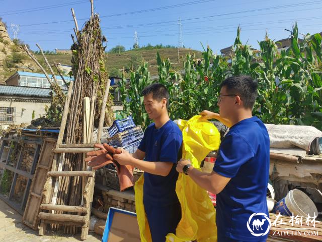 马蜂“安家”居民防盗窗角 米脂消防上门为民“除害” 马蜂“安家”居民防盗窗角 米脂消防上门为民“除害”