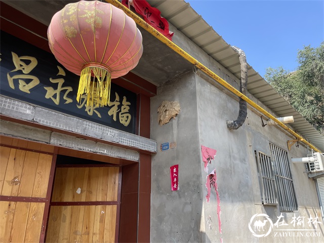 马蜂“安家”居民防盗窗角 米脂消防上门为民“除害” 马蜂“安家”居民防盗窗角 米脂消防上门为民“除害”