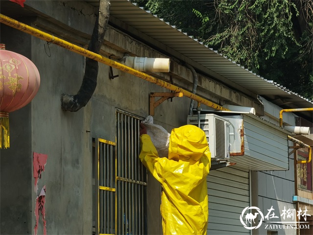 马蜂“安家”居民防盗窗角 米脂消防上门为民“除害”