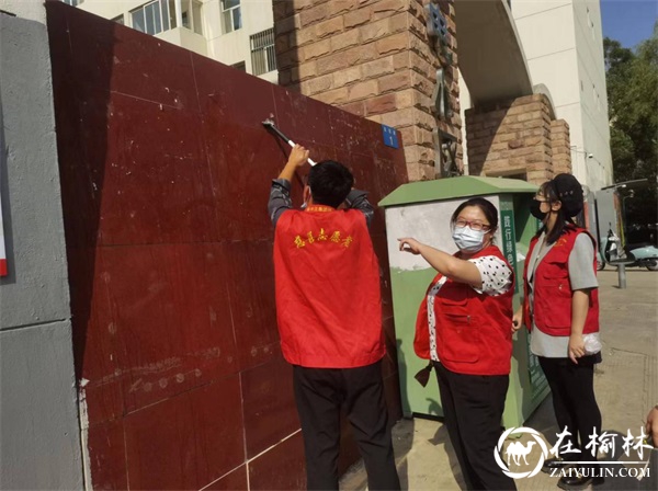 榆林邮政机关第一党支部开展“清理垃圾 美化家园”主题党日活动