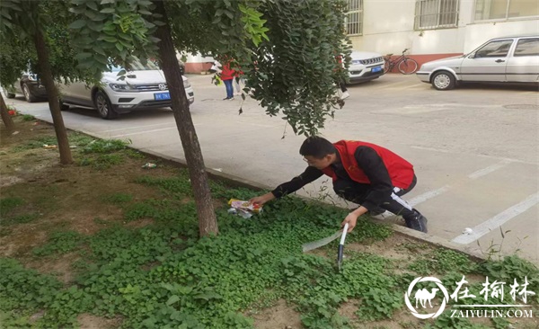 榆林邮政机关第一党支部开展“清理垃圾 美化家园”主题党日活动