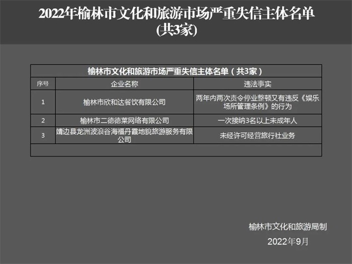 榆林3家公司被列入严重失信主体名单
