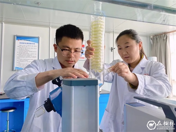 榆林合力产业扶贫开发：匠心铸就品牌