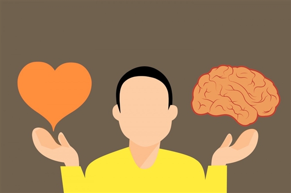 《神经元》杂志：科学家首次证明人脑细胞在体外也有智力