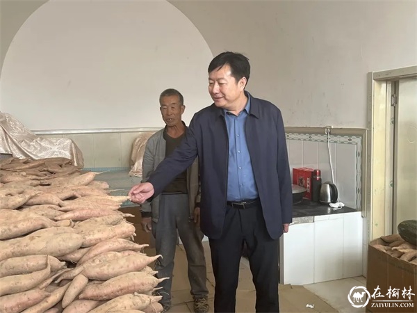 榆林高新区党工委委员、管委会副主任张军到崔家湾镇调研指导乡村振兴工作