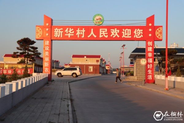 神木市大保当镇新华村：美丽的新农村画卷