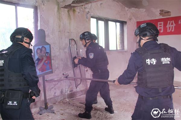 加强防暴演练  蓄力应急处突——绥德县公安局巡特警大队开展最小作战单元训练