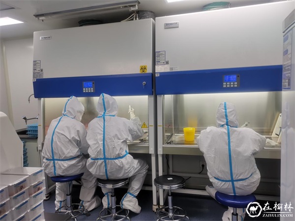 米脂战“疫”背后的“隐形战士”